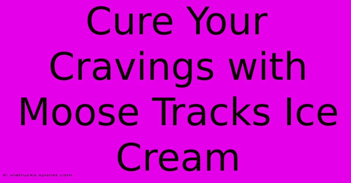 Cure Your Cravings With Moose Tracks Ice Cream