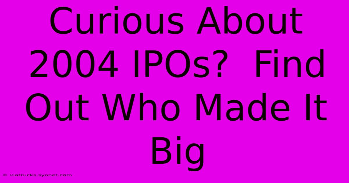 Curious About 2004 IPOs?  Find Out Who Made It Big