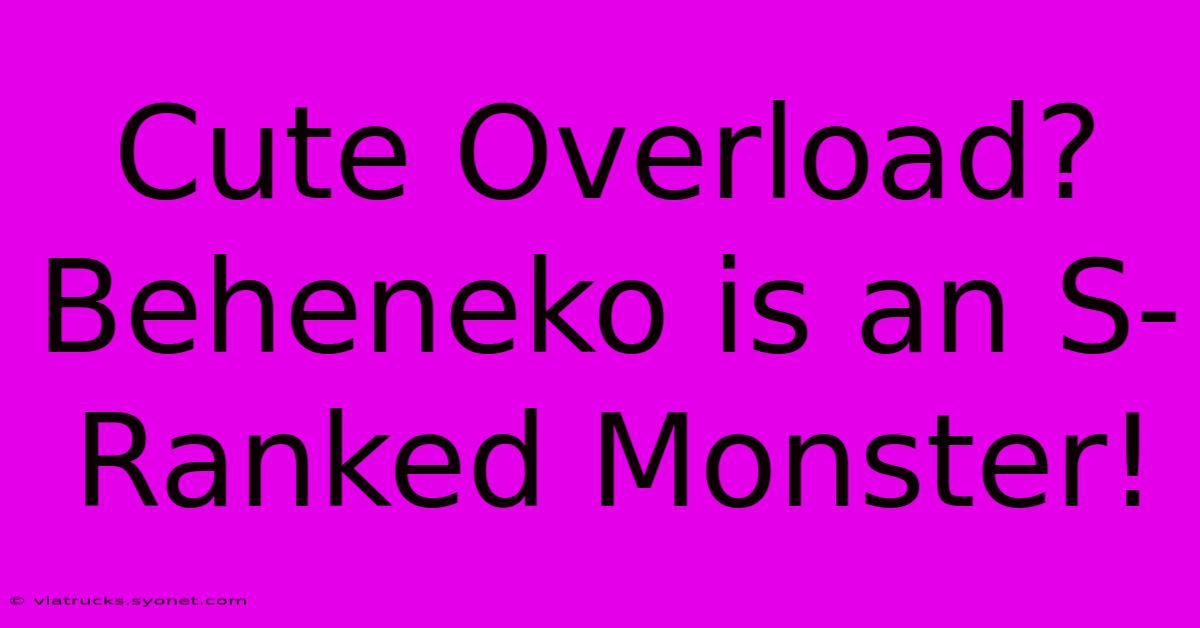 Cute Overload? Beheneko Is An S-Ranked Monster!