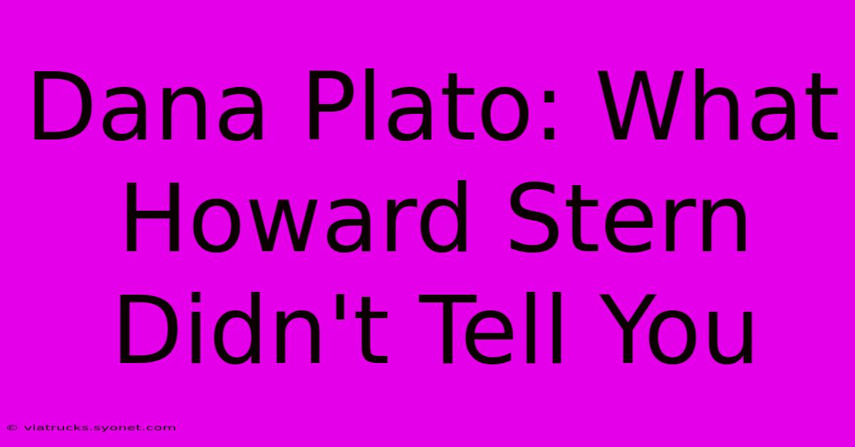 Dana Plato: What Howard Stern Didn't Tell You