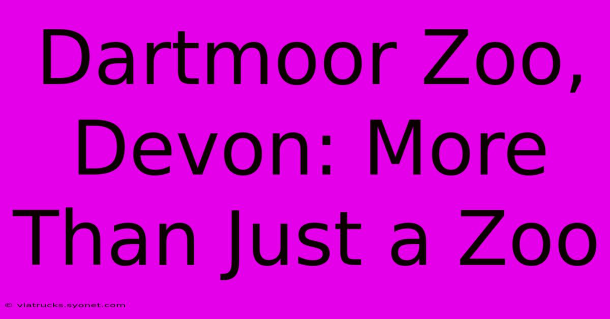 Dartmoor Zoo, Devon: More Than Just A Zoo