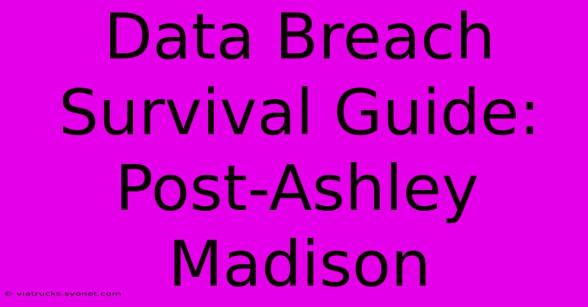 Data Breach Survival Guide: Post-Ashley Madison