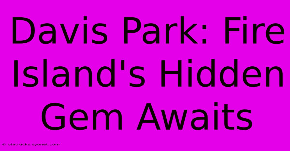 Davis Park: Fire Island's Hidden Gem Awaits