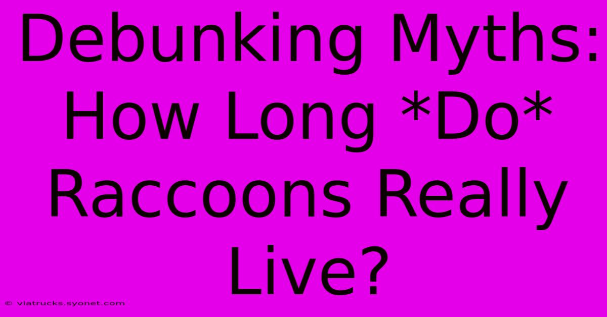 Debunking Myths: How Long *Do* Raccoons Really Live?