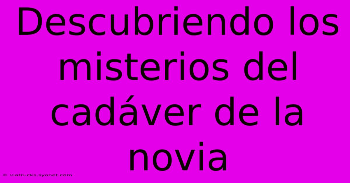 Descubriendo Los Misterios Del Cadáver De La Novia