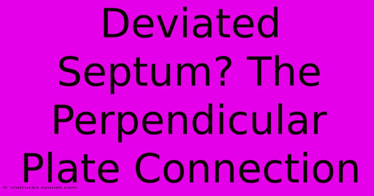 Deviated Septum? The Perpendicular Plate Connection