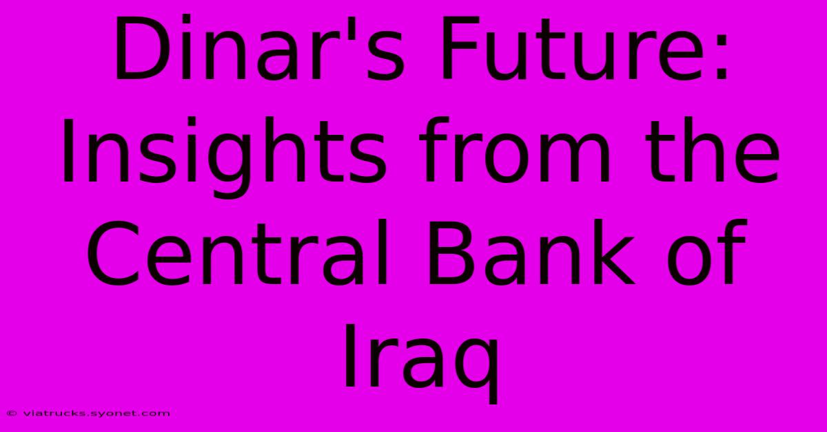 Dinar's Future: Insights From The Central Bank Of Iraq