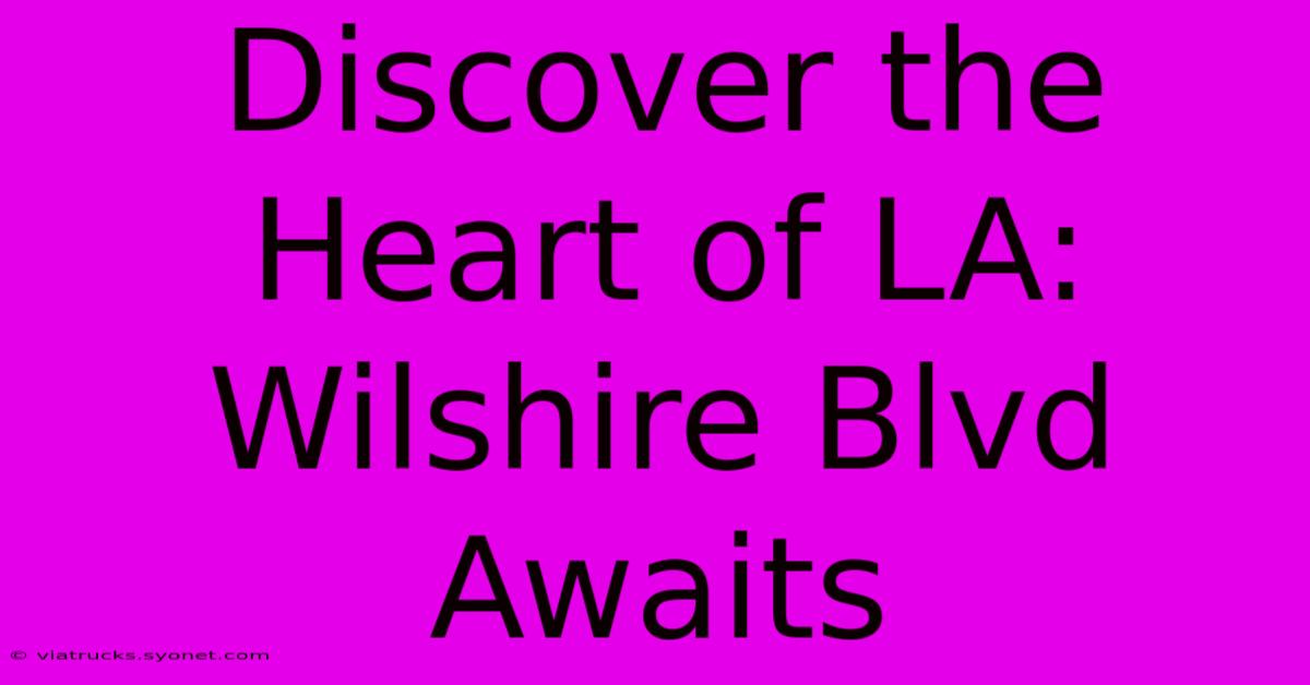 Discover The Heart Of LA: Wilshire Blvd Awaits