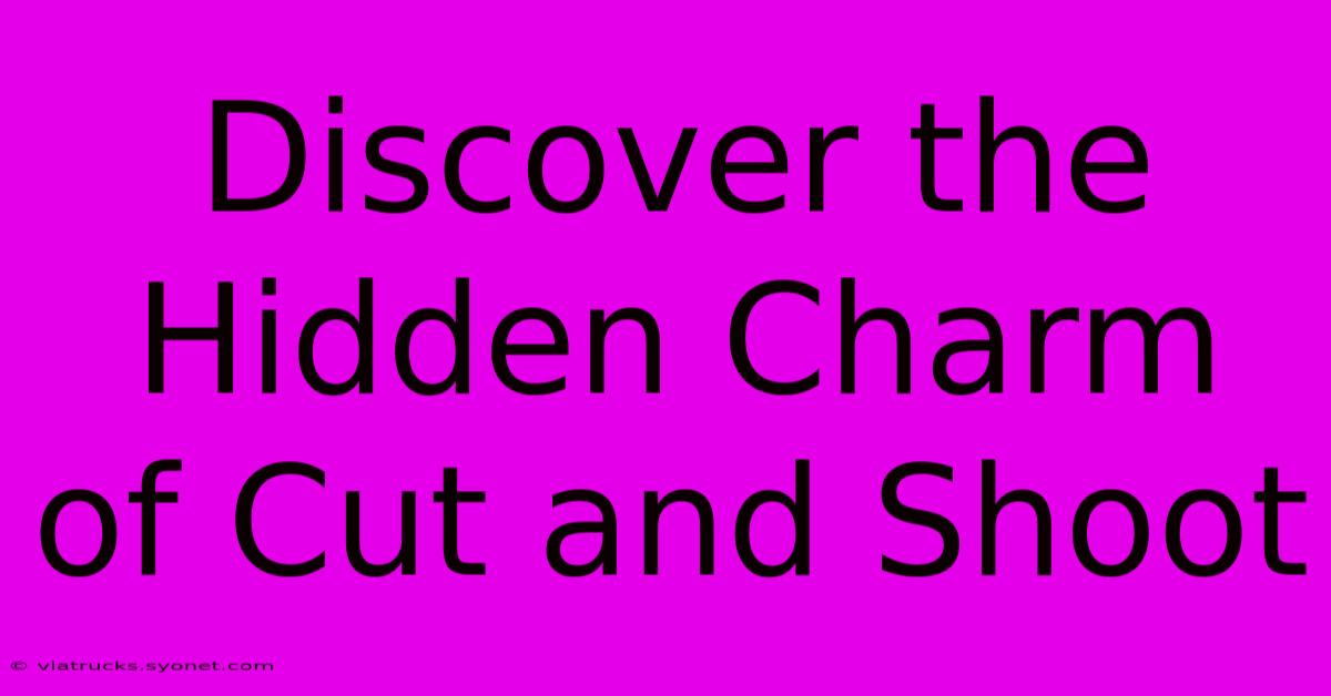 Discover The Hidden Charm Of Cut And Shoot