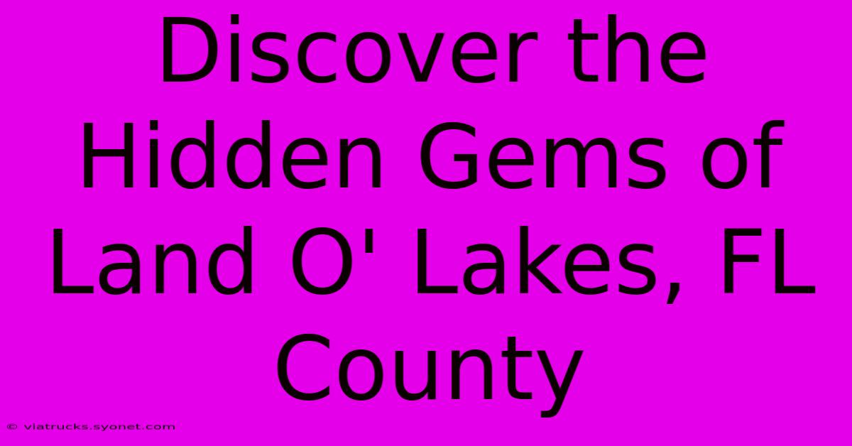 Discover The Hidden Gems Of Land O' Lakes, FL County