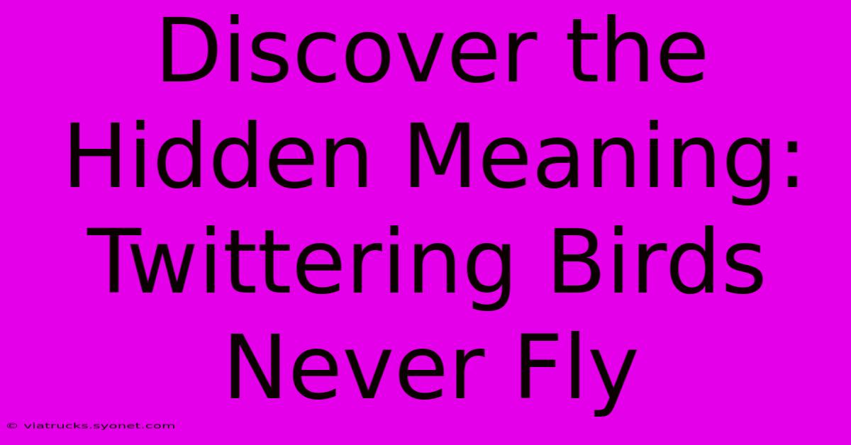 Discover The Hidden Meaning: Twittering Birds Never Fly