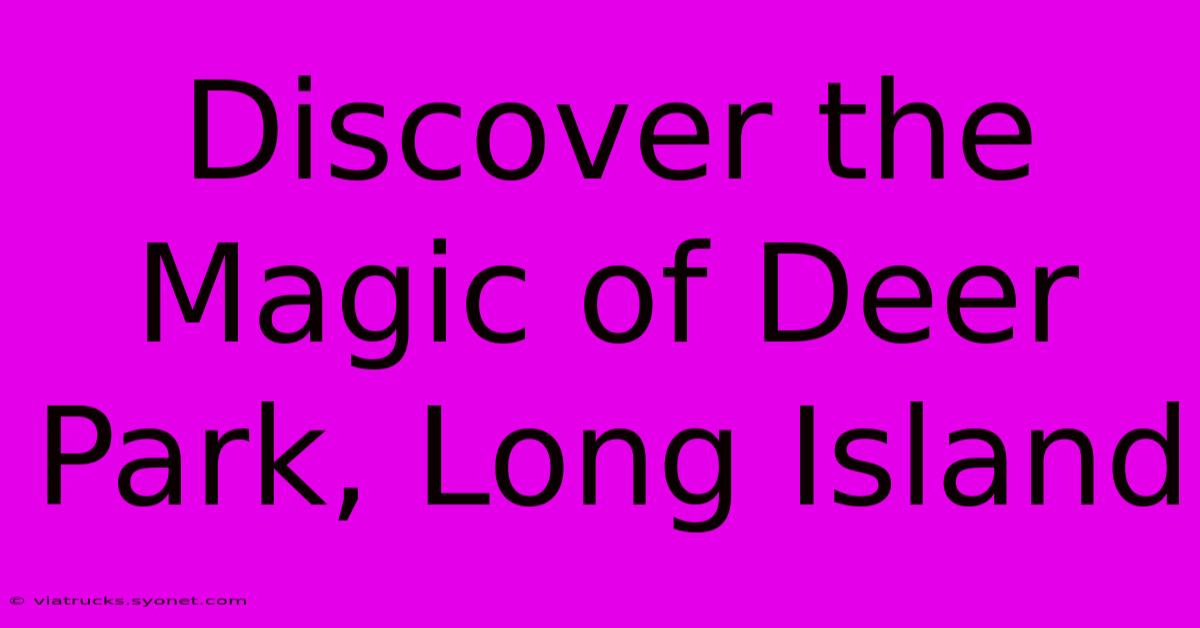 Discover The Magic Of Deer Park, Long Island