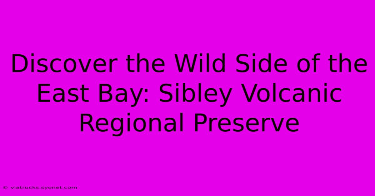 Discover The Wild Side Of The East Bay: Sibley Volcanic Regional Preserve