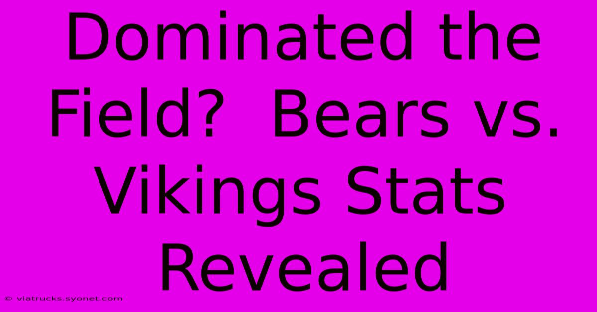 Dominated The Field?  Bears Vs. Vikings Stats Revealed