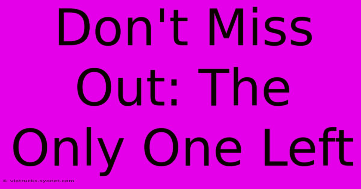 Don't Miss Out: The Only One Left