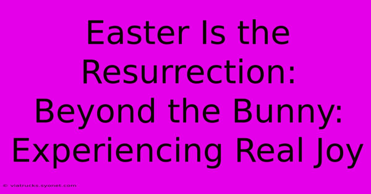 Easter Is The Resurrection:  Beyond The Bunny: Experiencing Real Joy