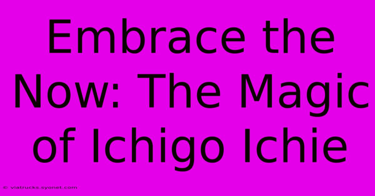 Embrace The Now: The Magic Of Ichigo Ichie