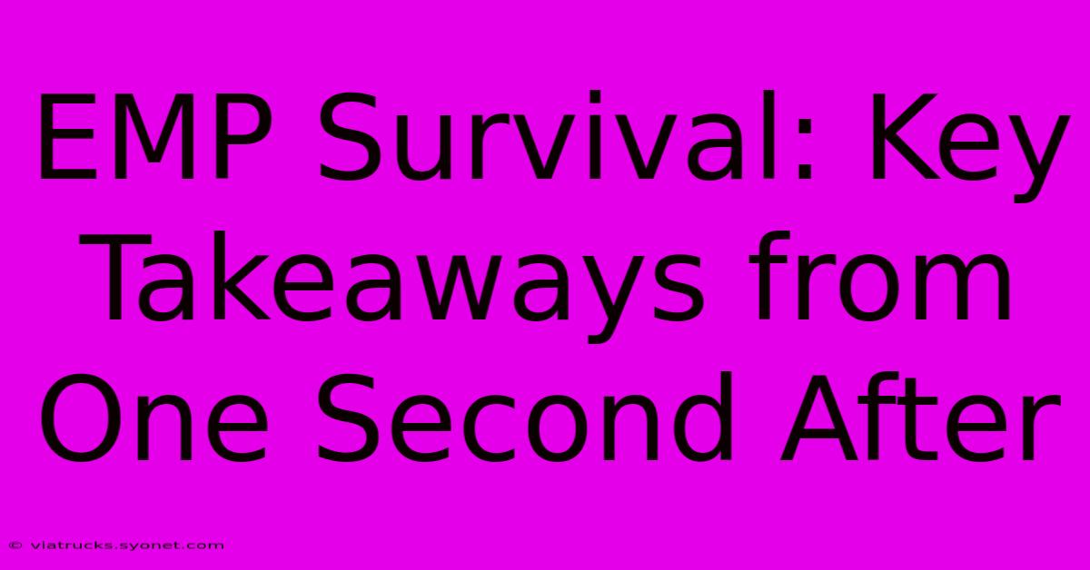 EMP Survival: Key Takeaways From One Second After