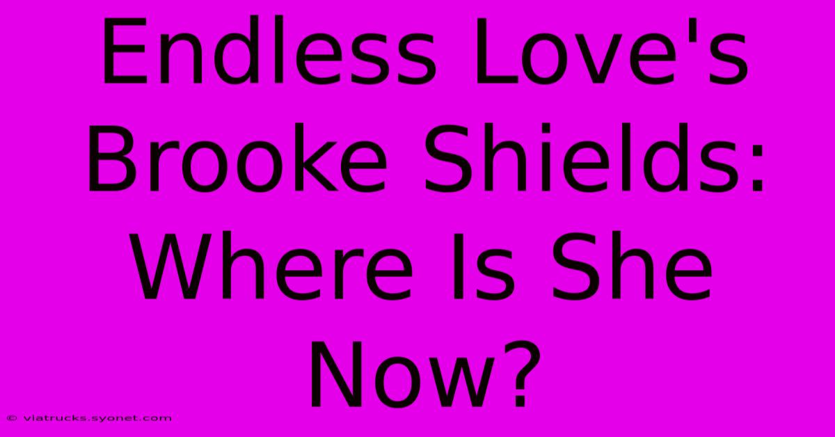 Endless Love's Brooke Shields: Where Is She Now?