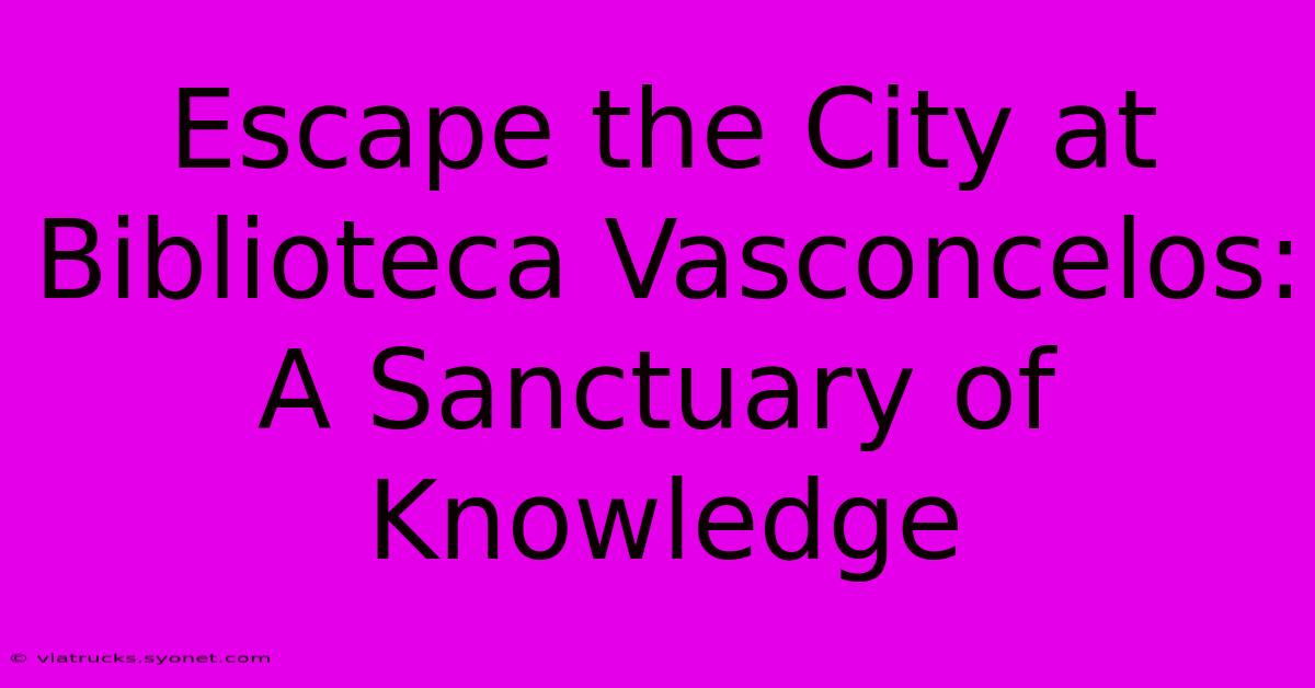 Escape The City At Biblioteca Vasconcelos: A Sanctuary Of Knowledge