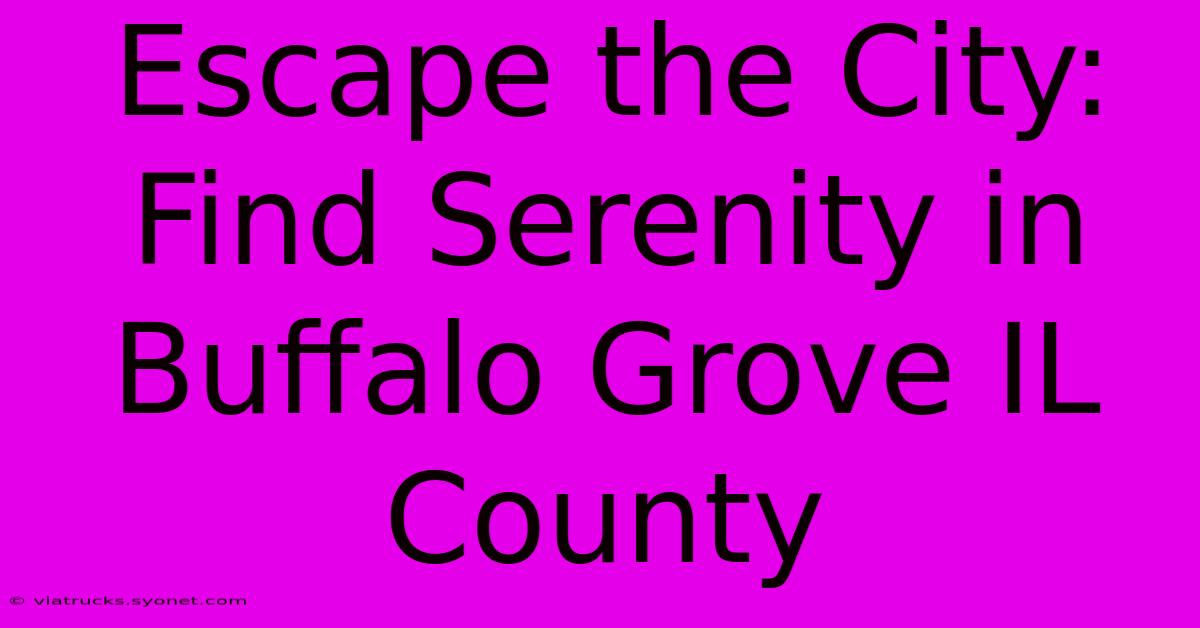 Escape The City: Find Serenity In Buffalo Grove IL County