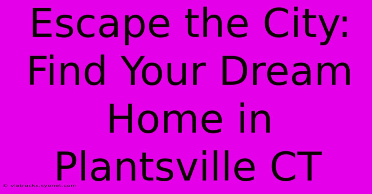 Escape The City: Find Your Dream Home In Plantsville CT