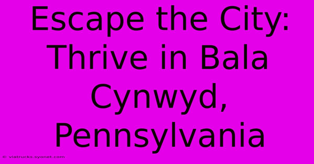 Escape The City: Thrive In Bala Cynwyd, Pennsylvania