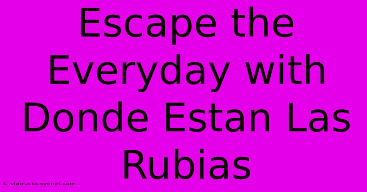 Escape The Everyday With Donde Estan Las Rubias