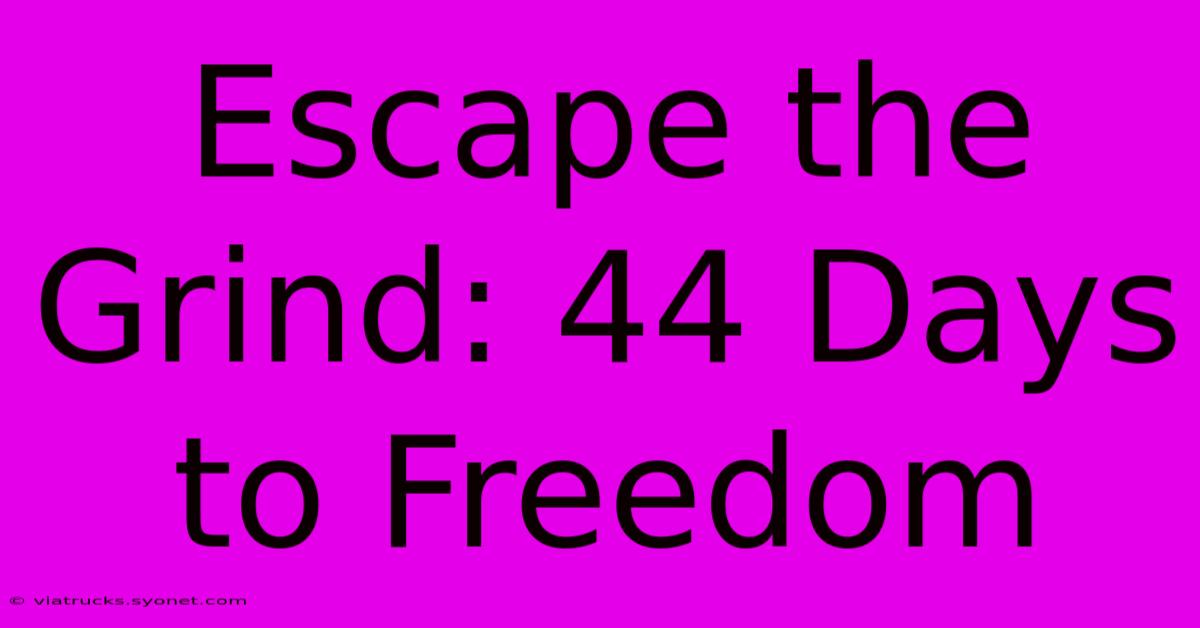 Escape The Grind: 44 Days To Freedom