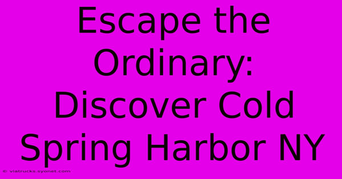 Escape The Ordinary: Discover Cold Spring Harbor NY