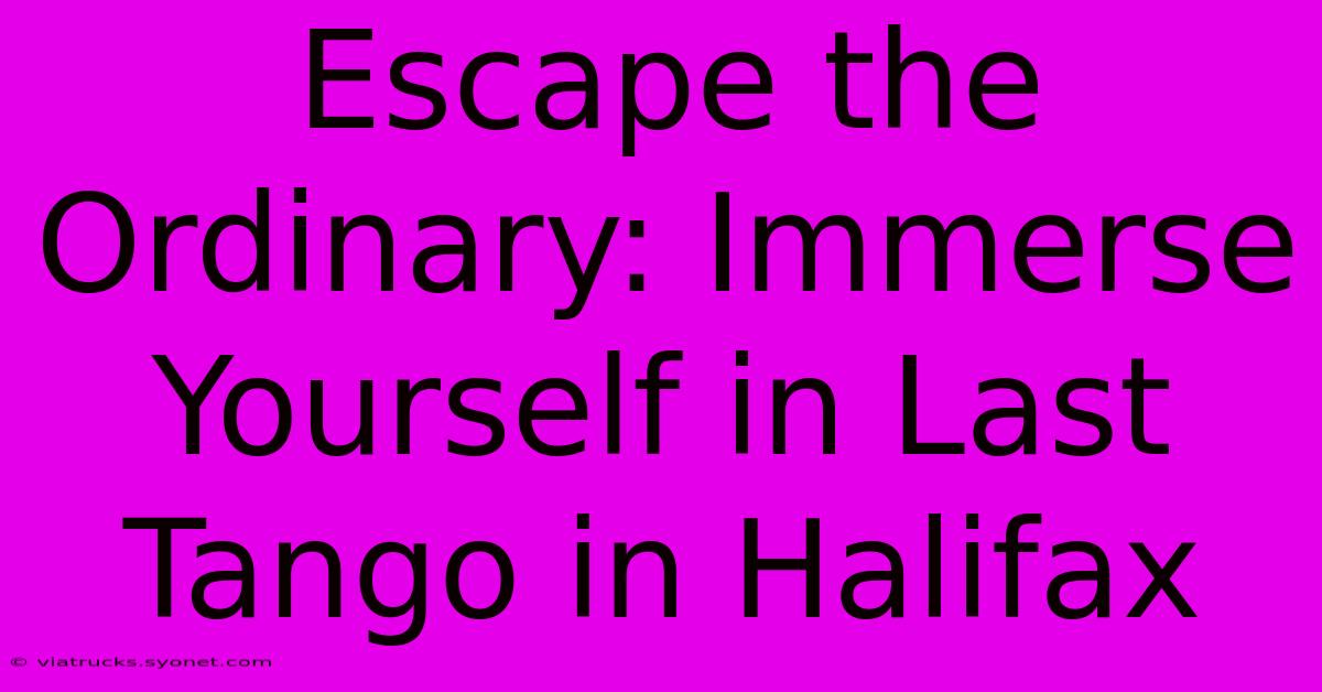 Escape The Ordinary: Immerse Yourself In Last Tango In Halifax