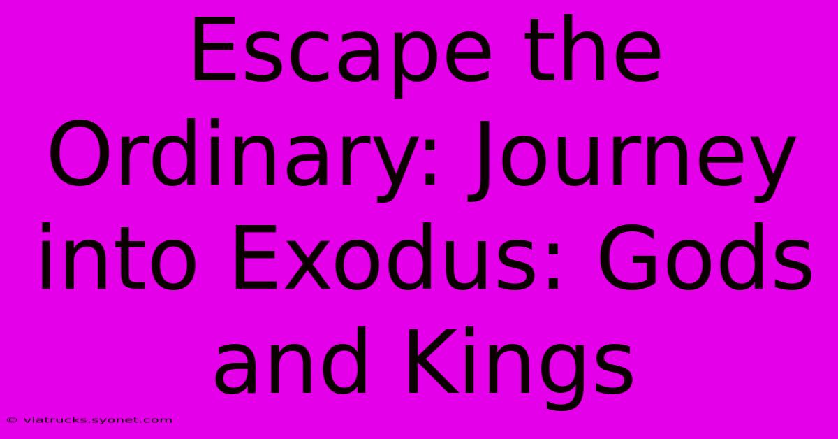 Escape The Ordinary: Journey Into Exodus: Gods And Kings