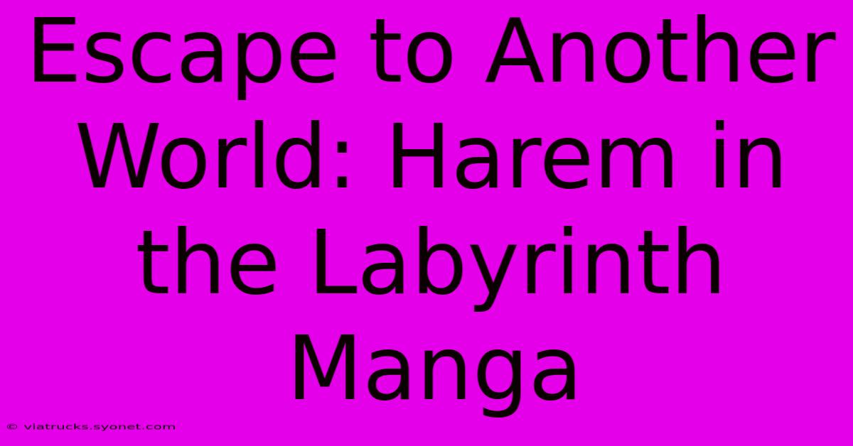 Escape To Another World: Harem In The Labyrinth Manga