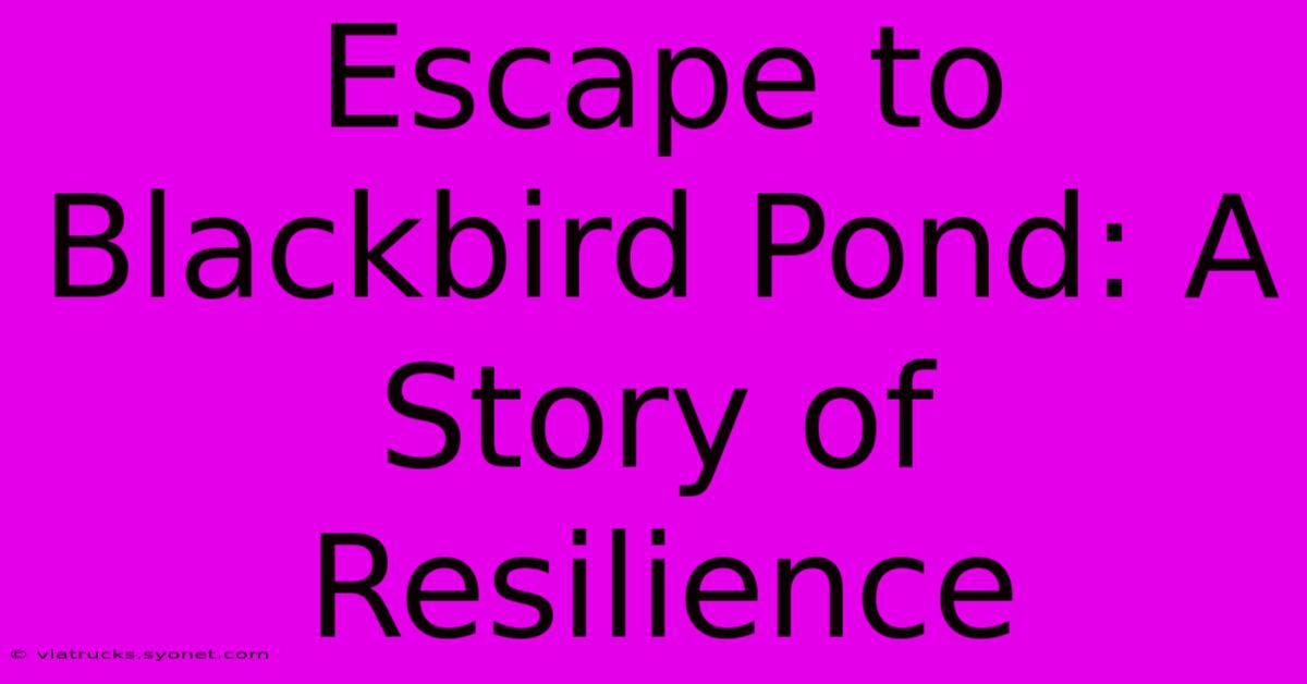 Escape To Blackbird Pond: A Story Of Resilience 