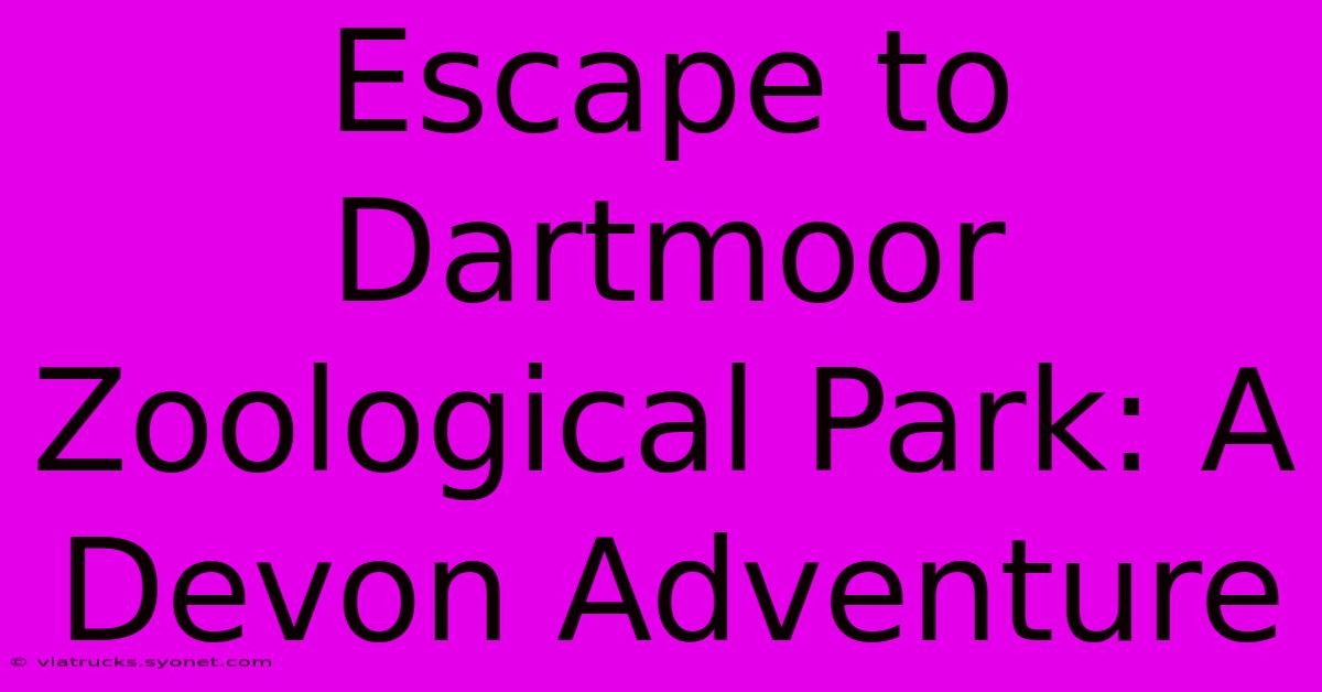 Escape To Dartmoor Zoological Park: A Devon Adventure