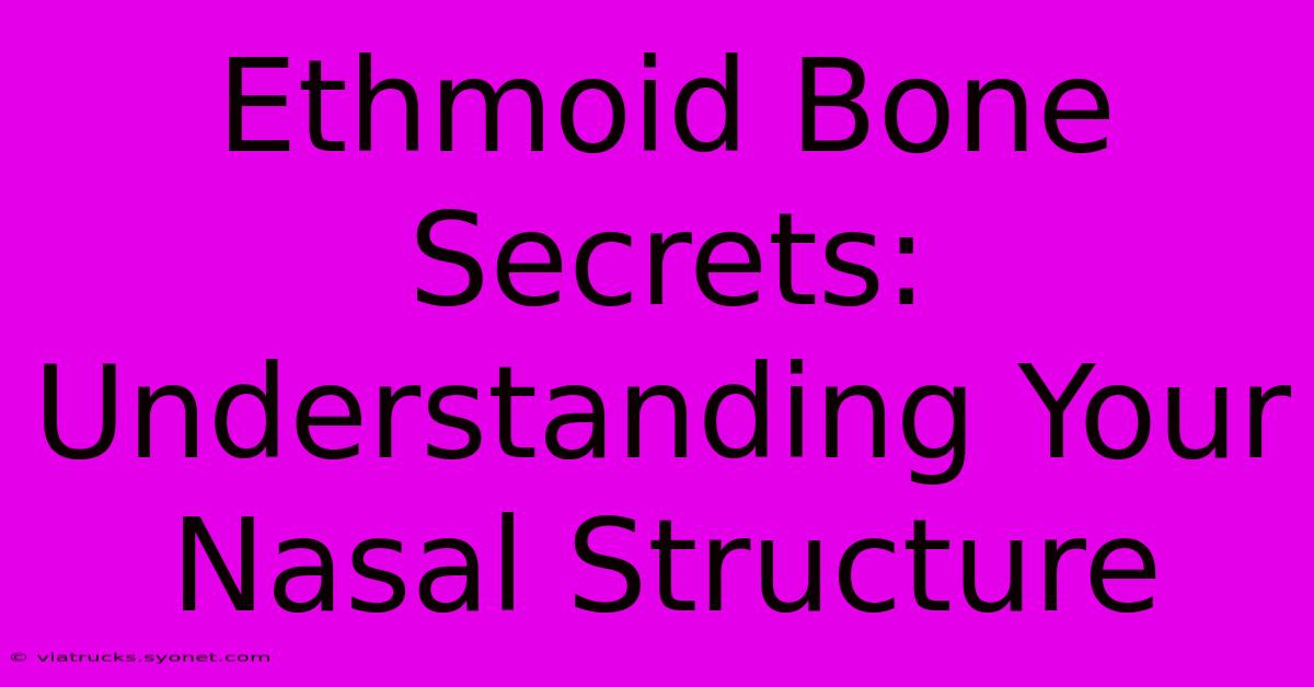 Ethmoid Bone Secrets: Understanding Your Nasal Structure