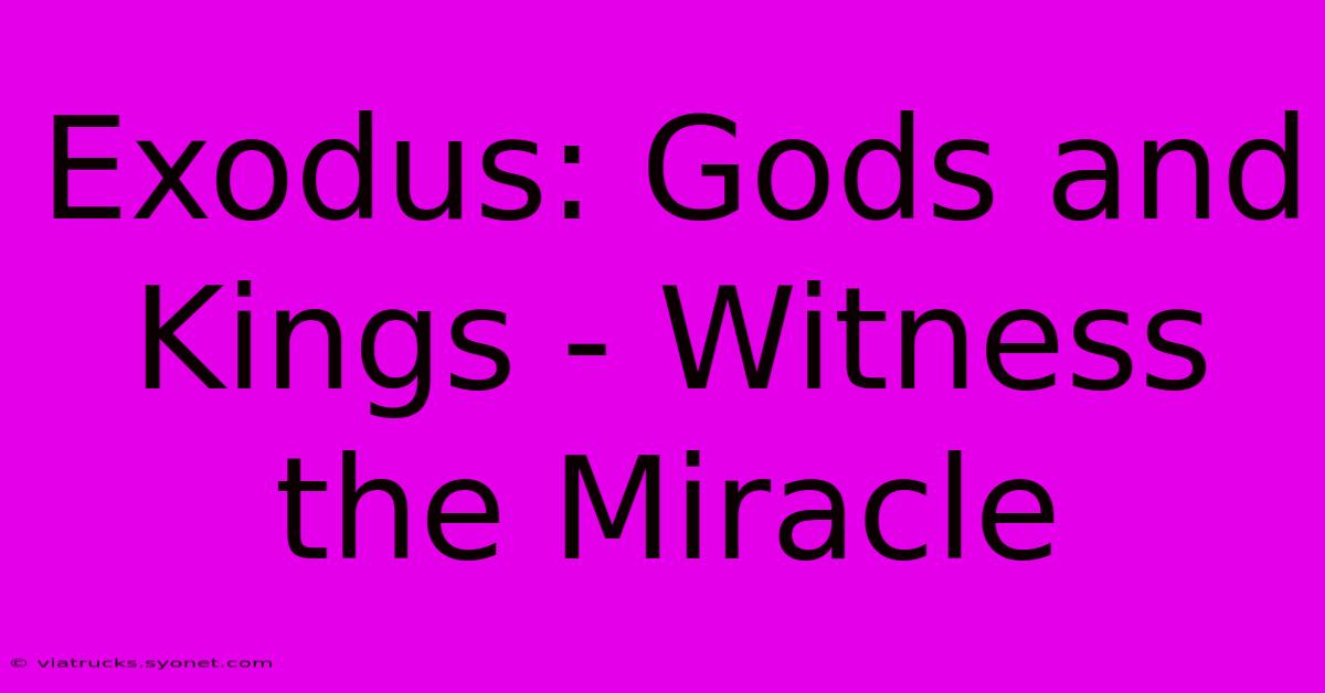 Exodus: Gods And Kings - Witness The Miracle