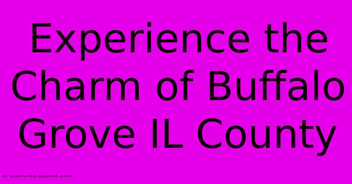 Experience The Charm Of Buffalo Grove IL County