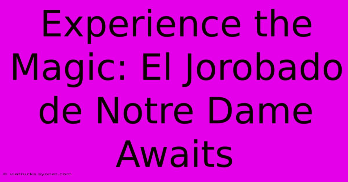 Experience The Magic: El Jorobado De Notre Dame Awaits