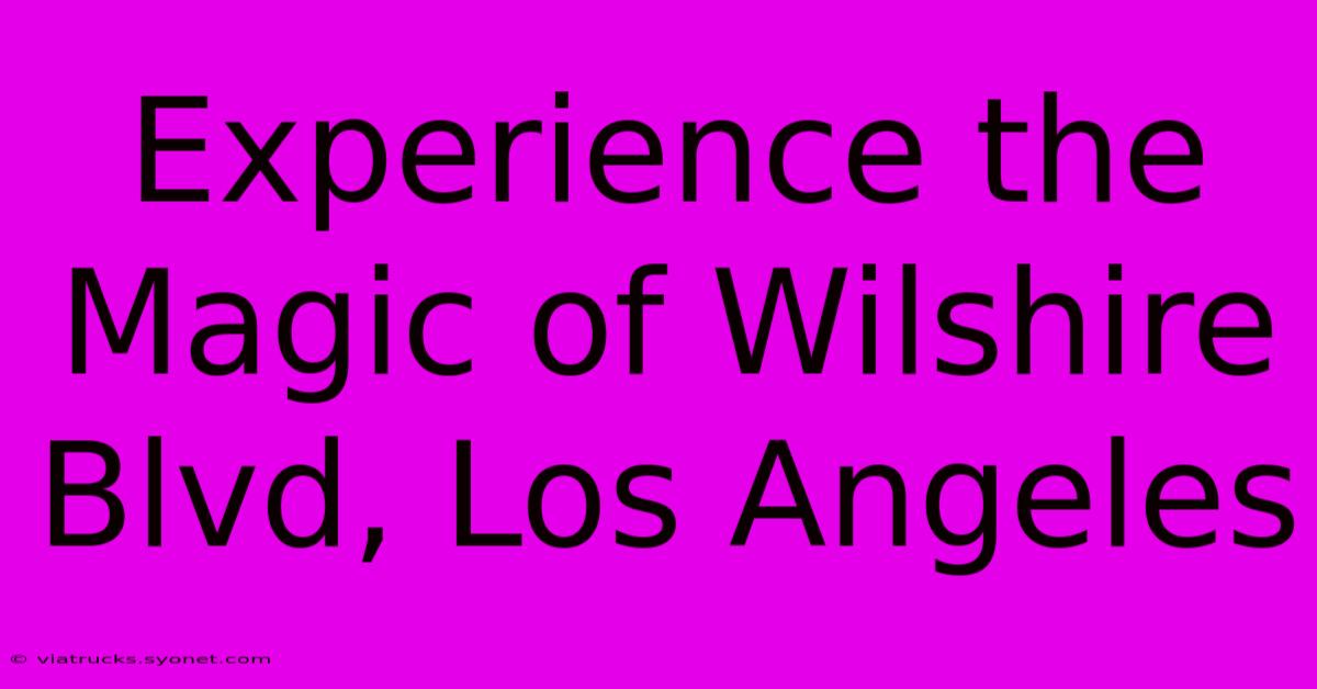 Experience The Magic Of Wilshire Blvd, Los Angeles