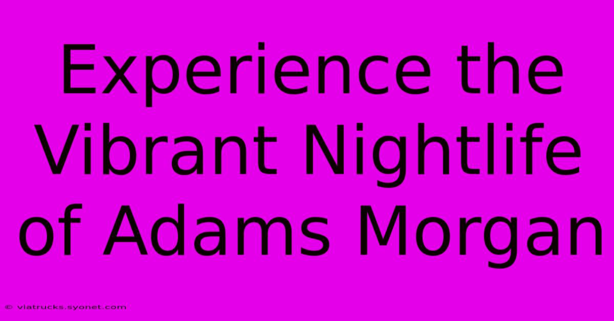 Experience The Vibrant Nightlife Of Adams Morgan