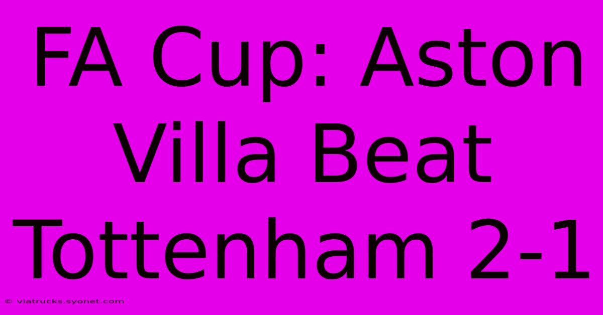 FA Cup: Aston Villa Beat Tottenham 2-1