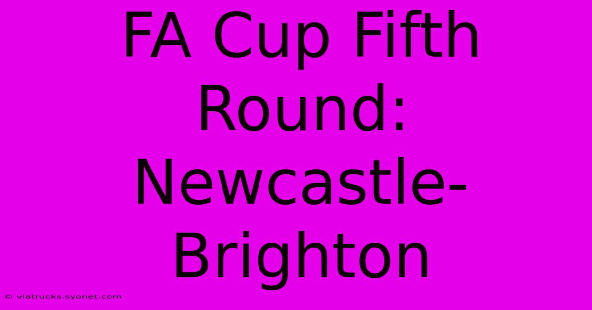 FA Cup Fifth Round: Newcastle-Brighton