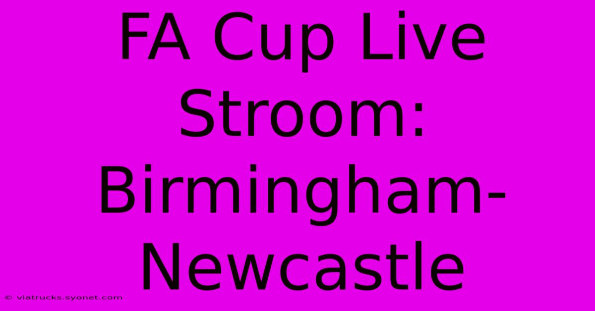 FA Cup Live Stroom: Birmingham-Newcastle