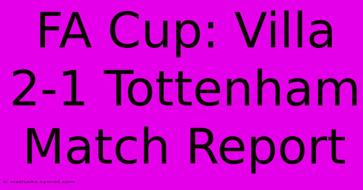 FA Cup: Villa 2-1 Tottenham Match Report