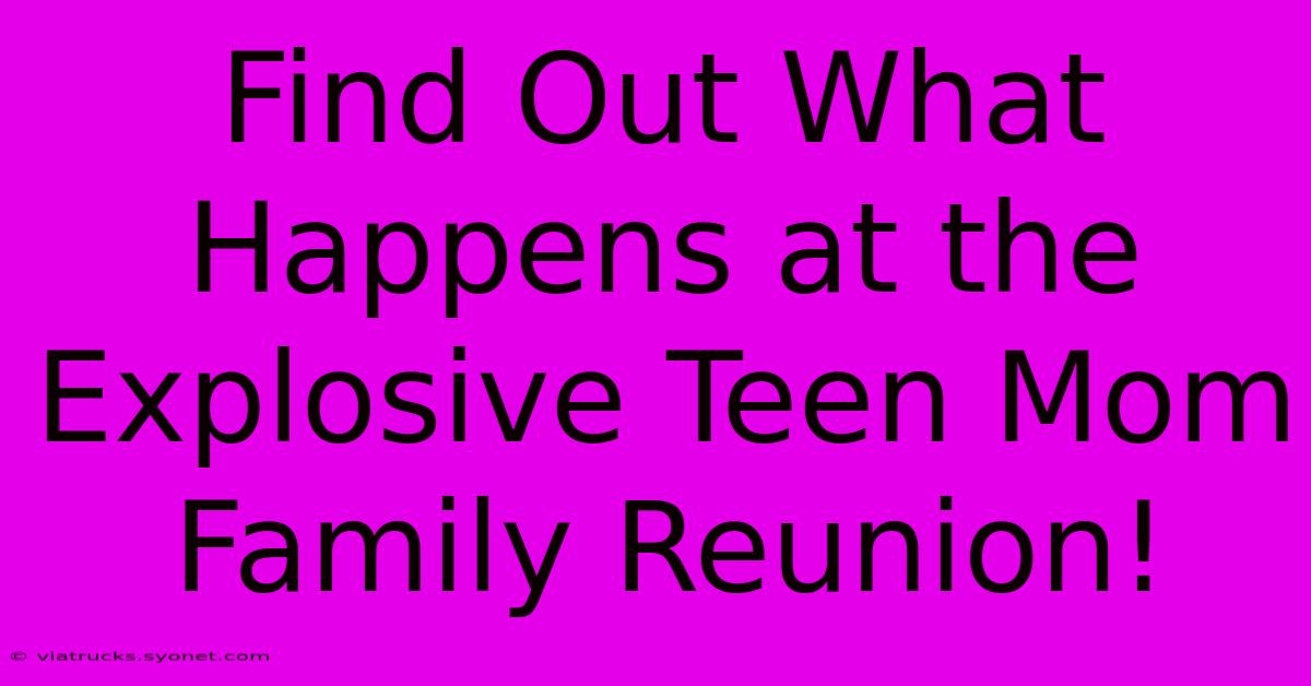 Find Out What Happens At The Explosive Teen Mom Family Reunion!