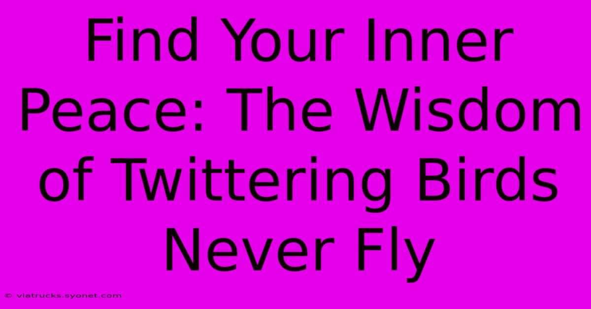 Find Your Inner Peace: The Wisdom Of Twittering Birds Never Fly