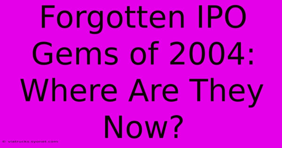 Forgotten IPO Gems Of 2004: Where Are They Now?