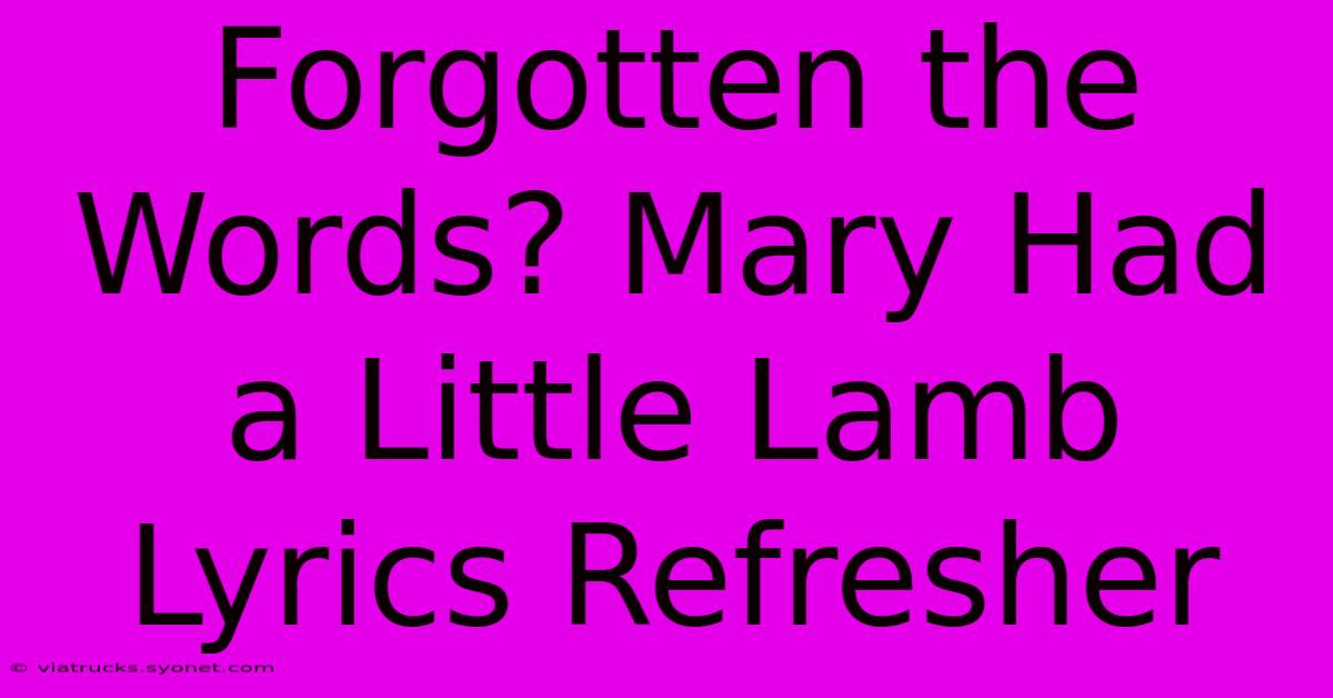 Forgotten The Words? Mary Had A Little Lamb Lyrics Refresher