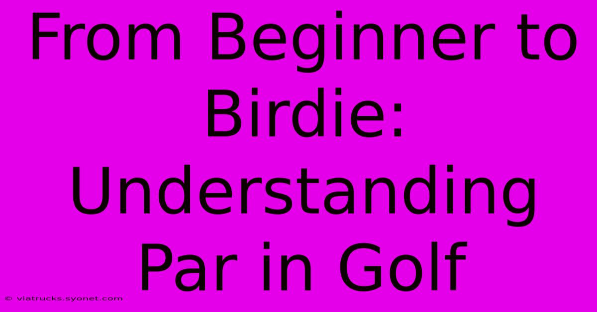 From Beginner To Birdie: Understanding Par In Golf